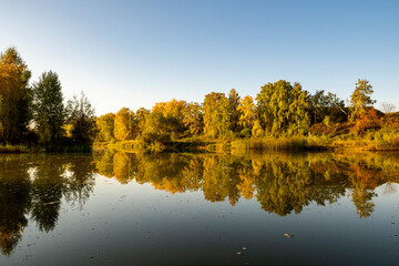 Obraz premium River landscape on a sunny autumn morning. The serenity and tranquility of an autumn morning on the banks of a narrow rural river.