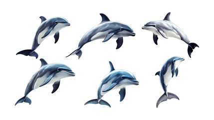 Pack Dandy Dolphin set in Different Poses Against Transparent Background for Marine Illustrations, Ocean Art, or Aquatic-Themed Designs