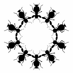 set of ants vector