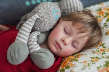A young boy is soundly sleeping while hugging a soft elephant plush toy. He rests on a floral-patterned pillow during a quiet afternoon, embodying innocence and comfort
