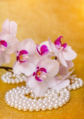 
A branch of white orchids on a shiny gold background
