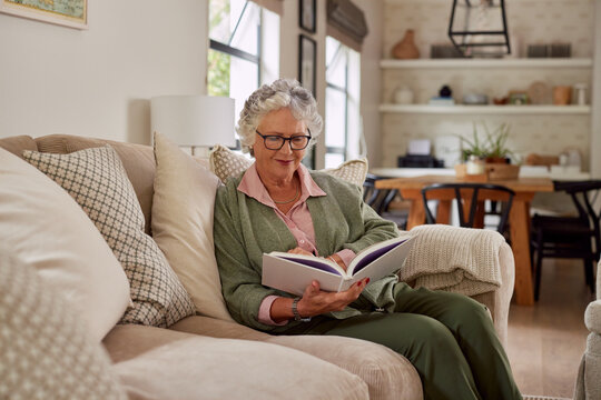 Rido photos, images, assets | Adobe Stock