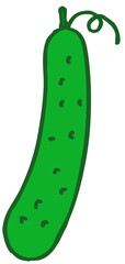 cucumber