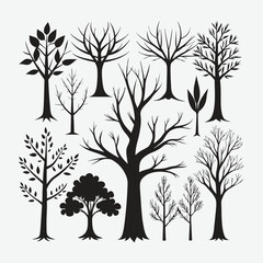 Obraz premium Trees without leaves isolated silhouette.