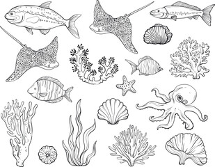 A seamless vector illustration with outlines underwater set with tropical fish, coral reefs, seaweed, and marine flora