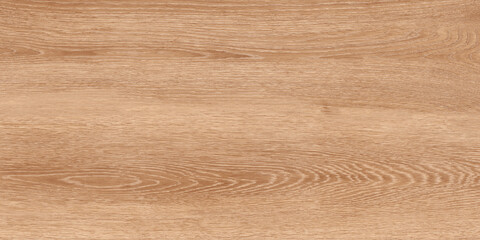 High resolution natural oak wood texture