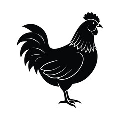rooster silhouette vector isolated on white background