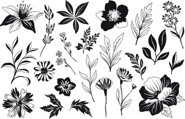 A vector illustration featuring a collection of elegant black and white floral and botanical elements, including flowers, leaves, and stems in a delicate artistic style