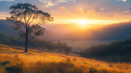 Golden sunrise over misty mountains and a tranquil forest valley.