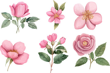 Beautiful Watercolor Spring Flowers Clipart