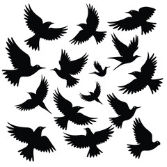 Fototapeta premium Silhouette flock of birds isolated on white background