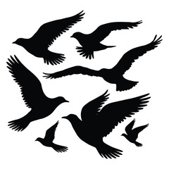 Obraz premium Silhouette flock of birds isolated on white background