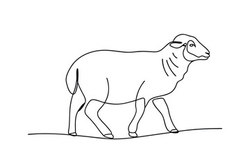 Fototapeta premium SingleLine Drawing of a Walking Domestic Sheep Animal