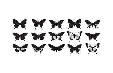 Fototapeta premium Butterfly Black Shadow Art Silhouette