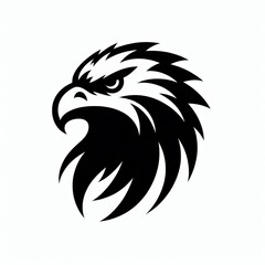 Obraz premium wild life diferent birds silhoutee illustration