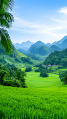Fototapeta premium Lush green rice paddy fields nestled in a vibrant valley, surrounded by majestic mountains under a clear blue sky