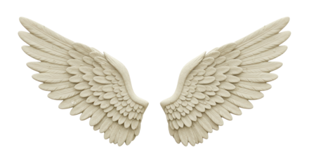 Isolated Pair of White Angel Wings