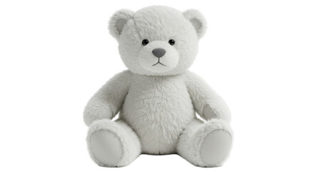 Isolated Teddy Bear
