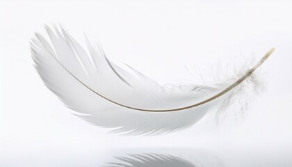 Obraz premium white feather floating in the air isolated on white background