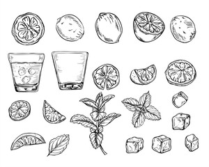 Citrus slices, cold drink with ice, drinking glass, ice cubes and mint branch set vector illustration painted by black inks. Monochrome lemon, orange or lime pieces clip art. For beverage packaging