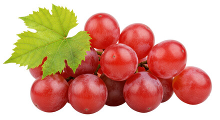 Isolated Fresh Red Grapes with Leaf