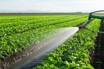 irrigation system in the field