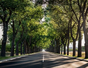 Naklejka premium a street lined with trees on both sides of the road