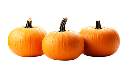 Obraz premium pumpkins png