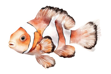 Obraz premium clown fish watercolor vector illustration, underwater ocean animal art isolated on white background