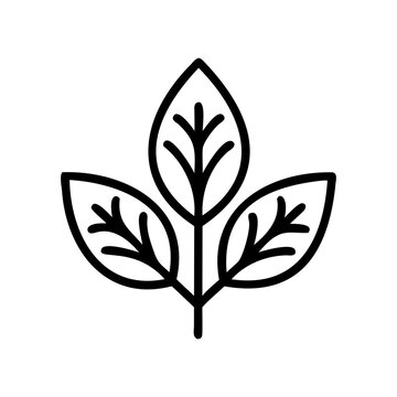 Minimal black outline botanical three-leaf plant hand-drawn vector emblem eco nature icon