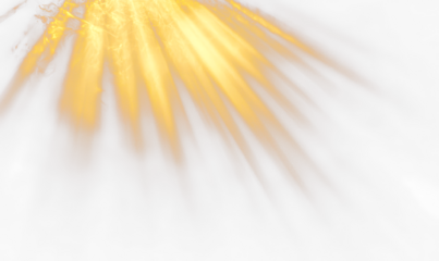 Soft Ethereal Sun Beams with Warm Glow and Light Rays Isolate on Transparent Background, cutout, png