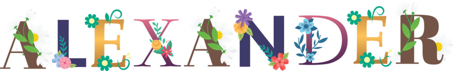 Text Typography Emboidered Of Baby Boy Name alexander