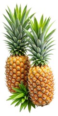 Obraz premium Two Ripe Pineapples with Lush Green Leaves Isolated on White Background A Delicious Tropical Fruit