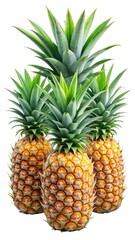 Three Ripe Pineapples with Lush Green Leaves Isolated on White Background Tropical Fruit Freshness Summertime Goodness