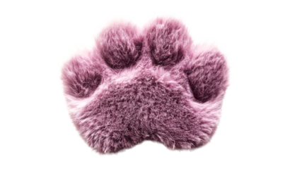 Fluffy Cute Paw Print in Velvety Texture Isolate on Transparent Background, cutout, png
