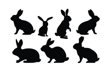 Fototapeta premium silhouette Rabbit and Bunny white background 