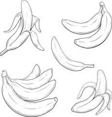 Vector Black and White Banana Set
