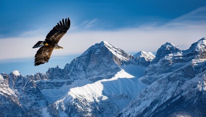 majestic eagle in flight over snowy mountain landscape