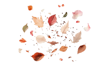 Fliegende bunte Herbstblätter und Blütenblätter PNG mit transparentem Hintergrund

