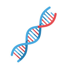 DNA double helix structure in blue and red flat vector art style vector illustration