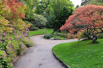 Path through beautiful park garden in autumn
