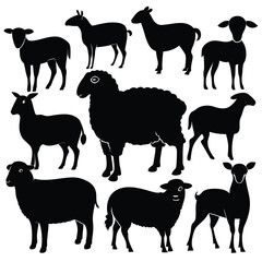 Obraz premium set of sheep collection of silhouettes of black vector