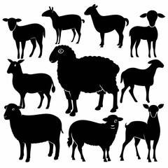 set of sheep collection of silhouettes of black vector