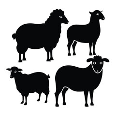 Fototapeta premium set of sheep collection of silhouettes of black vector