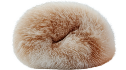 fur cap isolated on white background
