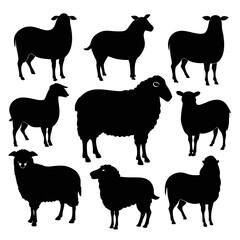 set of sheep collection of silhouettes of black vector