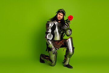 Medieval knight with rose in armor posing on vibrant green background