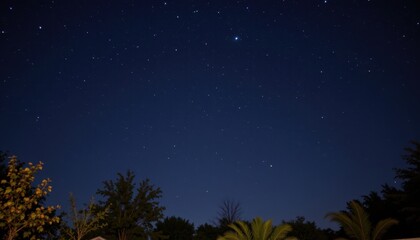 Naklejka premium The night sky above is a deep shade of navy blue, dotted with twinkling stars that add a touch of magic to the scene.