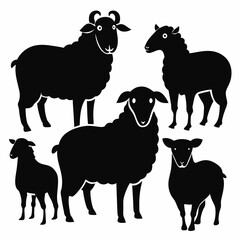 set of sheep collection of silhouettes of black vector