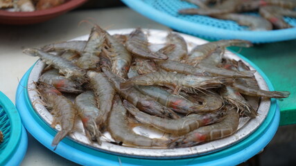 쌓여 있는 새우